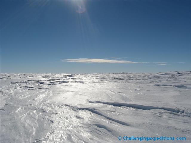 antarctica 2008